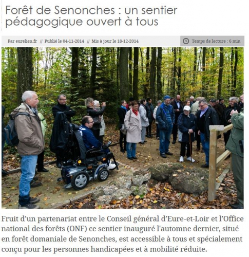 forêt de Senonches.JPG